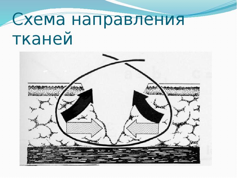 Схема направления тканей