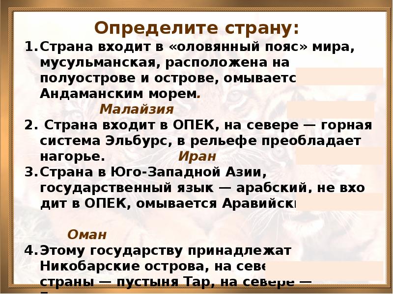 Оловянный пояс