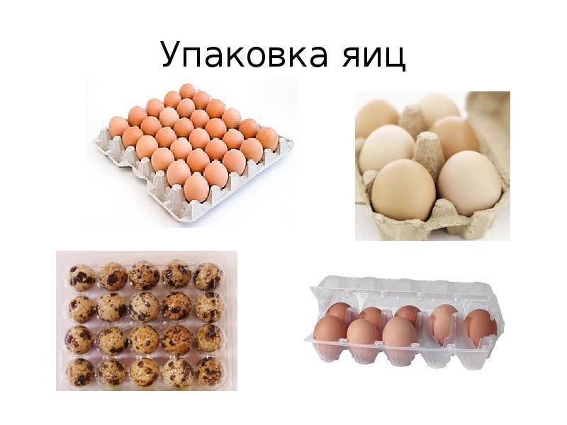 Презентация яйца и яйцепродукты