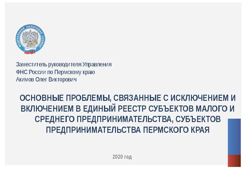 Доклад 2020. Исключение из реестра СМСП. ФНС презентация 2020. Печать начальник управление Федеральной налоговой службы 5 г Москва.