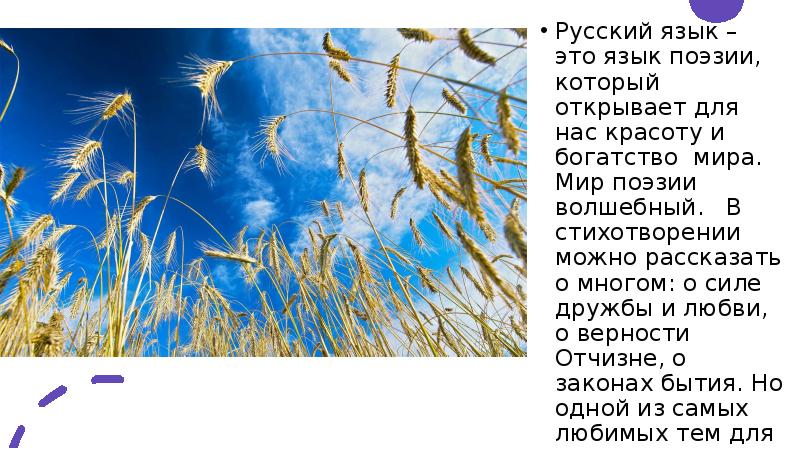 Анализ стихотворения помню долгий зимний вечер бунин 5 класс по плану