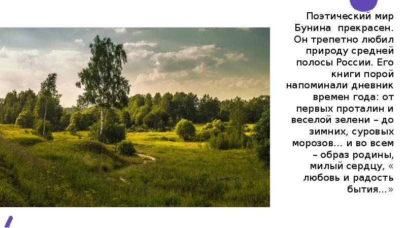 Основная мысль текста я очень люблю природу. Иллюстрация к стихотворению Бунина Родина. Бунин зимний вечер стихотворение. Россия средней полосы стих.