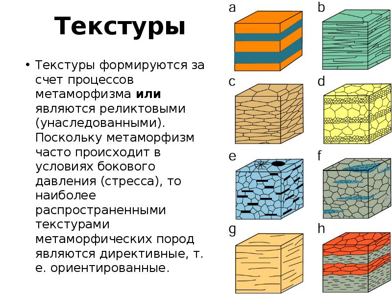 Текстуры и структуры метаморфических горных пород - презентация, доклад,  проект