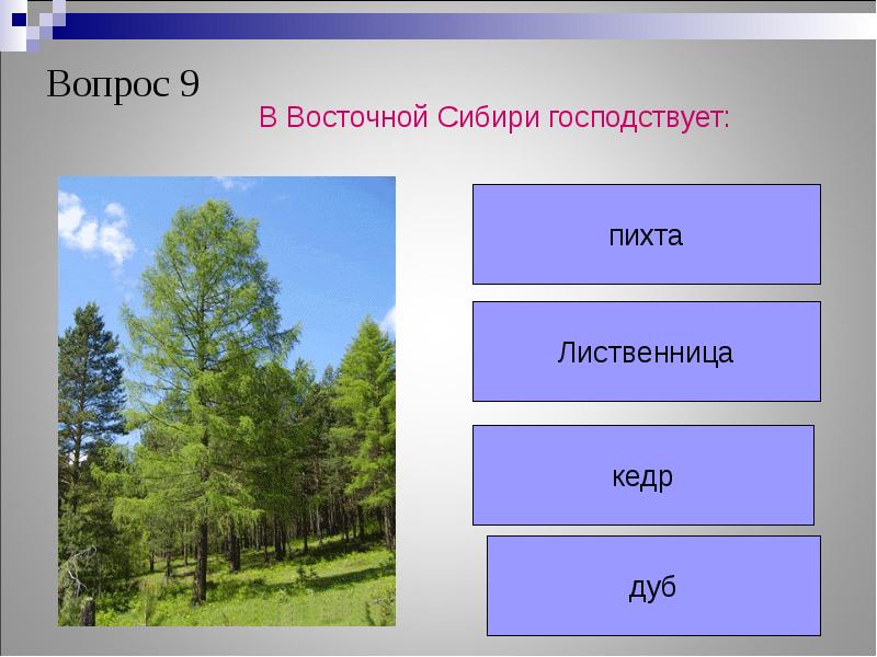 Разнообразие природы евразии презентация 7 класс