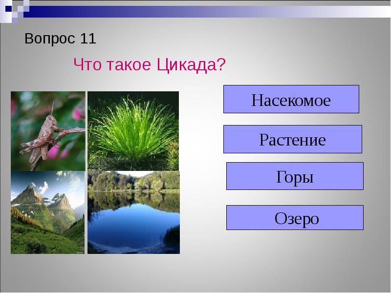 Разнообразие природы евразии презентация 7 класс