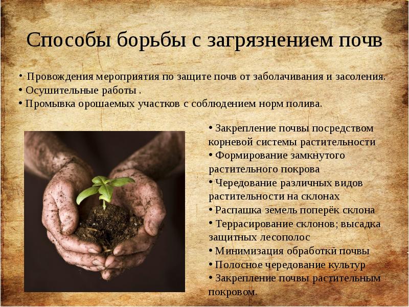 Способы борьбы с загрязнением почв