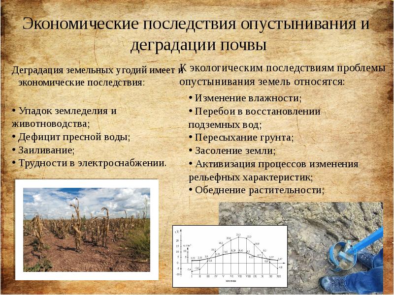 Экономические последствия опустынивания и деградации почвы Деградация земельных угодий имеет и