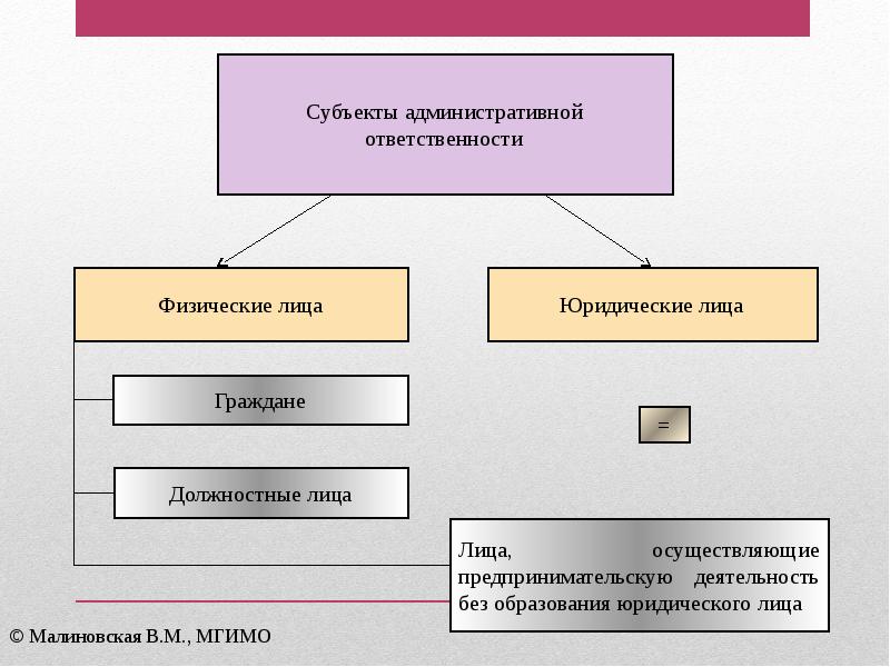 Надзор за субъектами административного права презентация