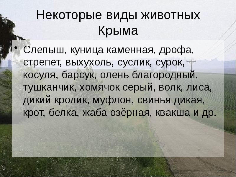 Животный мир крыма презентация