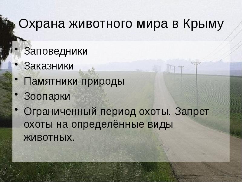 Животный мир крыма презентация