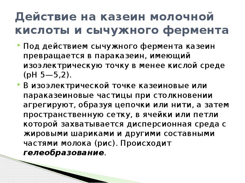 Ферменты молока. Фермент казеин. Фермент расщепляющий казеин. Казеин и сычужный фермент. Изоэлектрическая точка казеина молока.