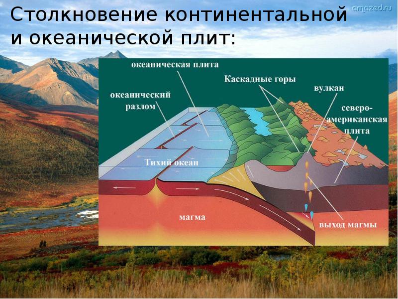 На каком рисунке показано столкновение плит с океанической и континентальной земной корой