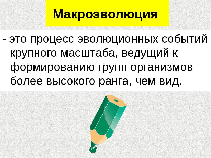 Презентация макроэволюция 9 класс пасечник