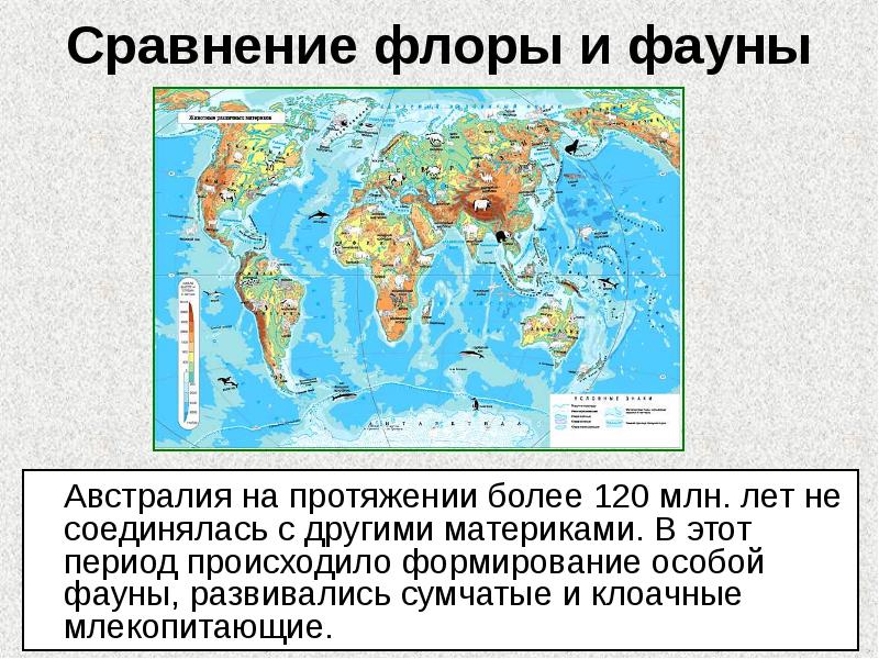 Сравнение флоры и фауны
Австралия на протяжении более 120 Сравнение флоры и фауны
Австралия на протяжении более 120