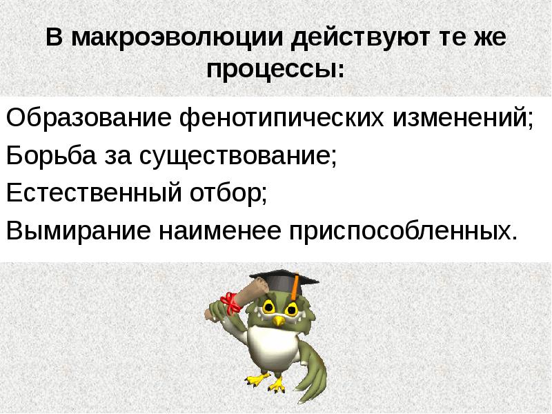 В макроэволюции действуют те же процессы:
Образование фенотипических изменений;
Борьба за В макроэволюции действуют те же процессы:
Образование фенотипических изменений;
Борьба за