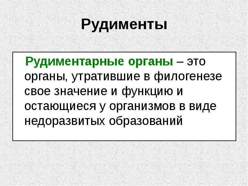 Рудименты
Рудиментарные органы – это органы, утратившие в филогенезе Рудименты
Рудиментарные органы – это органы, утратившие в филогенезе