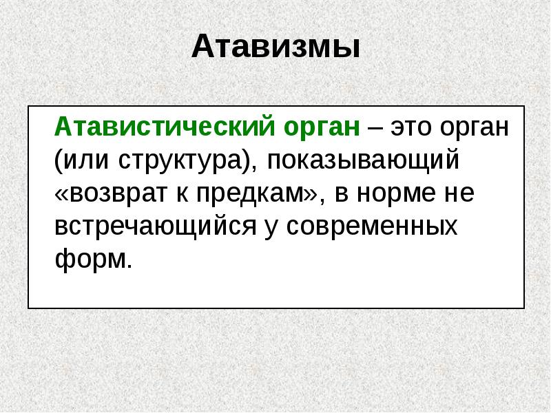 Атавизмы
Атавистический орган – это орган (или структура), показывающий Атавизмы
Атавистический орган – это орган (или структура), показывающий
