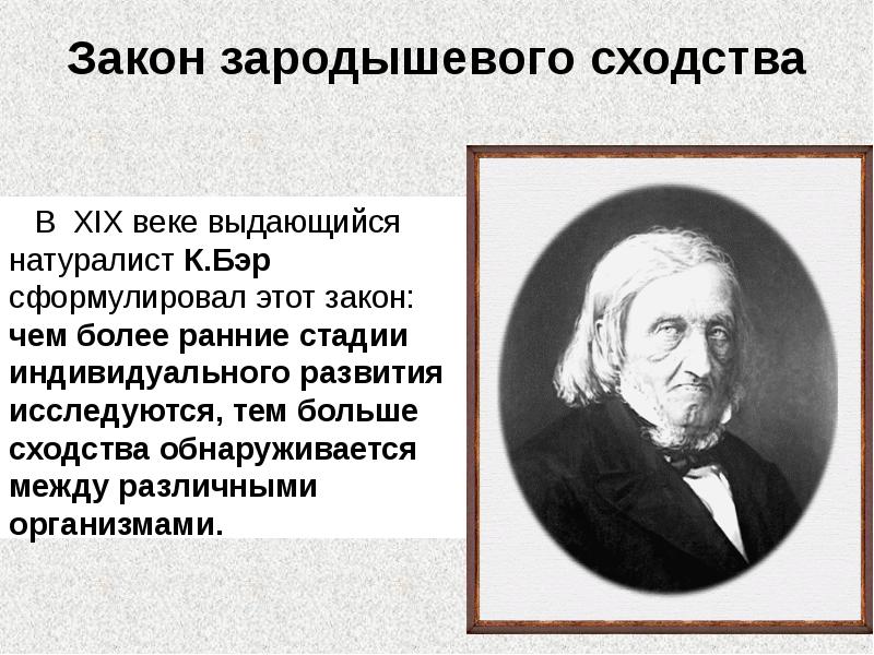 Закон зародышевого сходства
В XIX веке выдающийся натуралист К.Бэр Закон зародышевого сходства
В XIX веке выдающийся натуралист К.Бэр