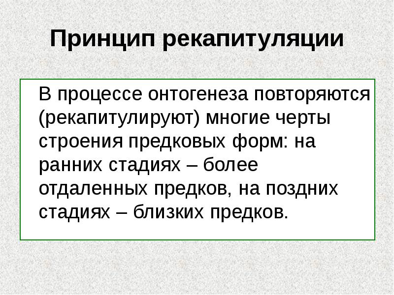 Принцип рекапитуляции
В процессе онтогенеза повторяются (рекапитулируют) многие черты Принцип рекапитуляции
В процессе онтогенеза повторяются (рекапитулируют) многие черты