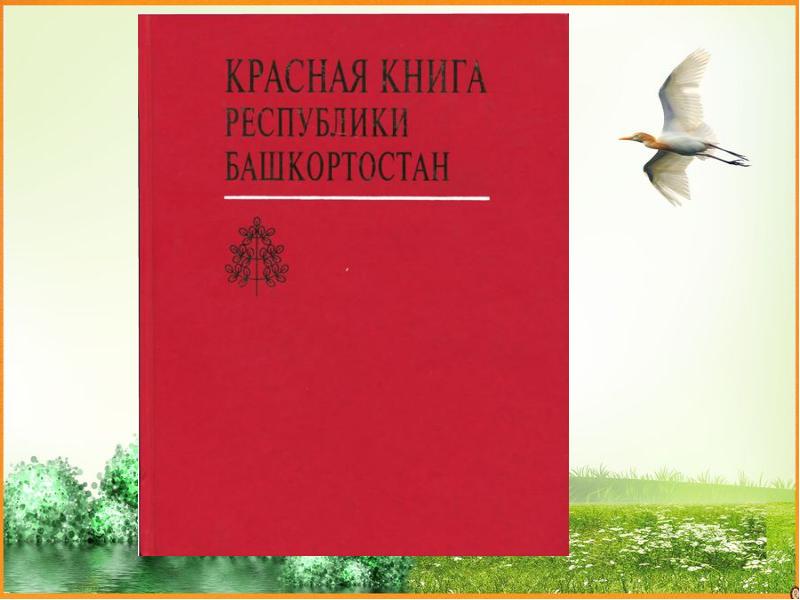 Красная книга рб презентация