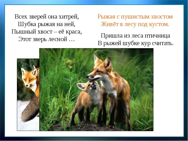 В лунин никого не обижай с михалков важный совет д хармс храбрый еж презентация