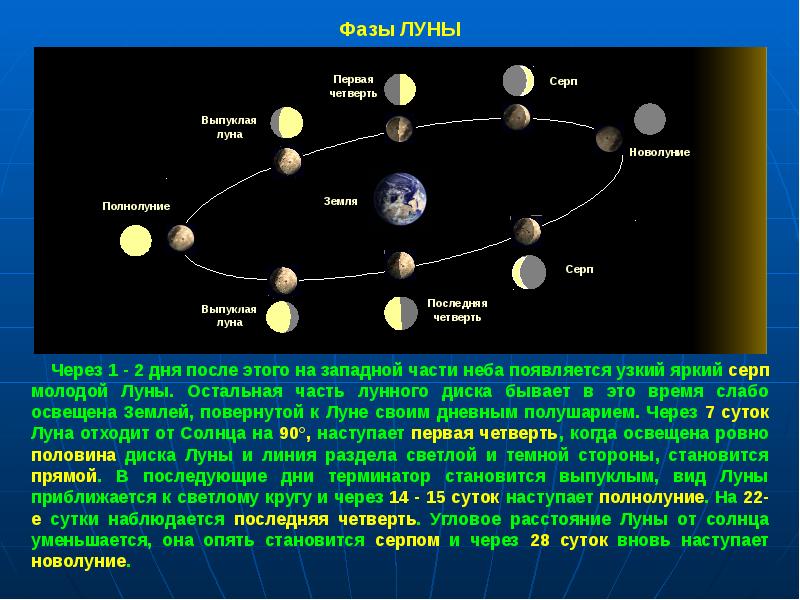 Фазы суток. Фазы Луны новолуние первая четверть полнолуние последняя четверть. Новолуние первая четверть полнолуние и последняя четверть. Лунная фаза первой четверти. Выпуклая фаза Луны.
