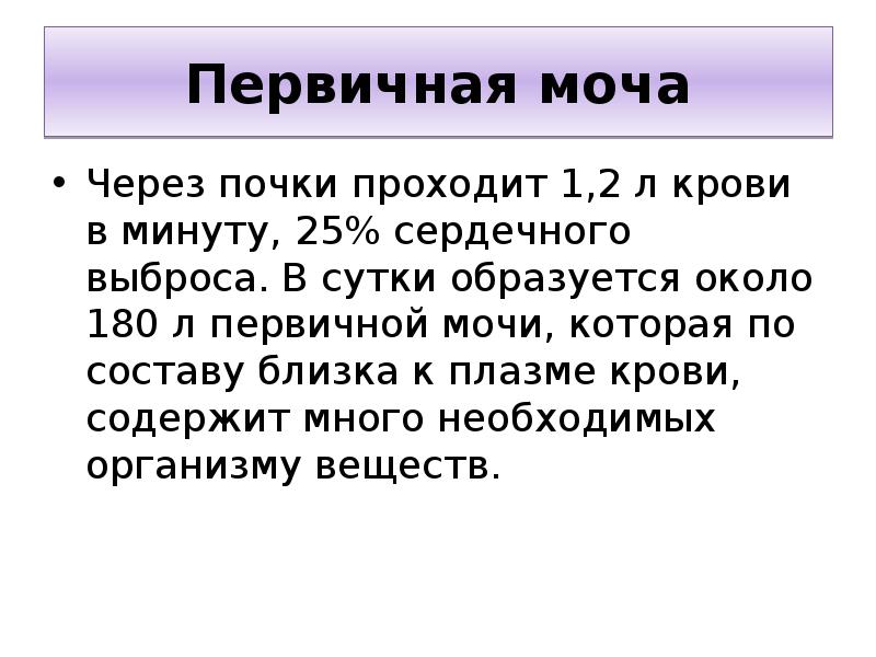 Первичная моча содержит белки. Первичной мочи в сутки образуется. Первичная моча. Первичная моча это жидкость поступающая из. Первичная моча за сутки.