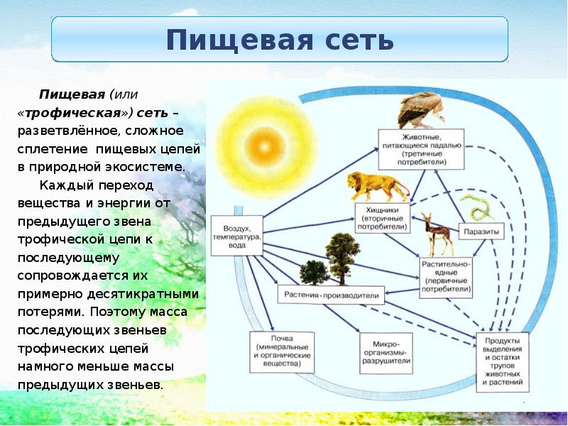 Что такое схема питания