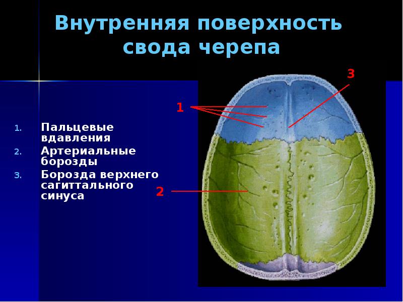 Усиление рисунка сосудистых борозд черепа - 84 фото