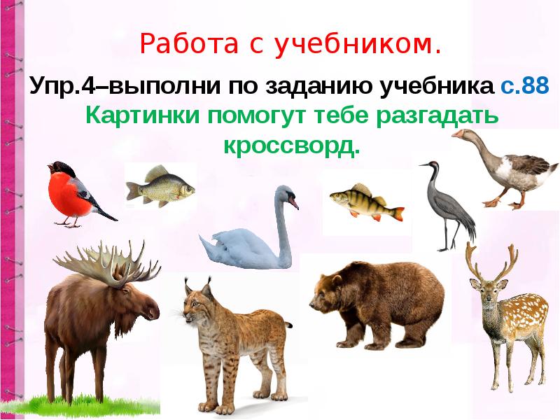 животные в названии которых есть буквы а. домашние животные. названия животных с ь. животные с мягким знаком. животные в названии которых есть буквы а.