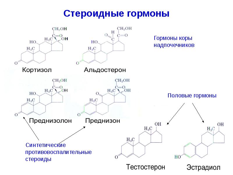 Гормоны строение механизм действия. Стероидные гормоны структура биохимия.