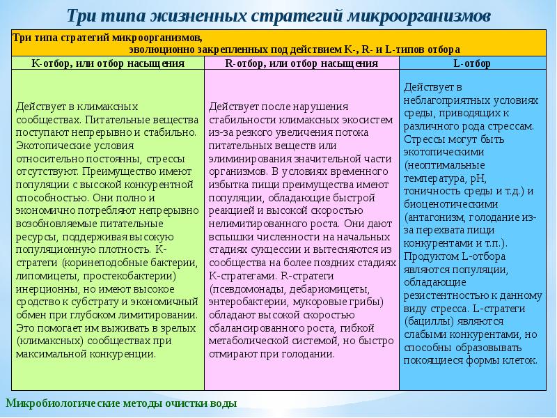 Типы жизненных стратегий. Экологические стратегии микроорганизмов. Стратегии выживания микроорганизмов в организме человека. Жизненные стратегии видов. Первая стратегия микроорганизмов.