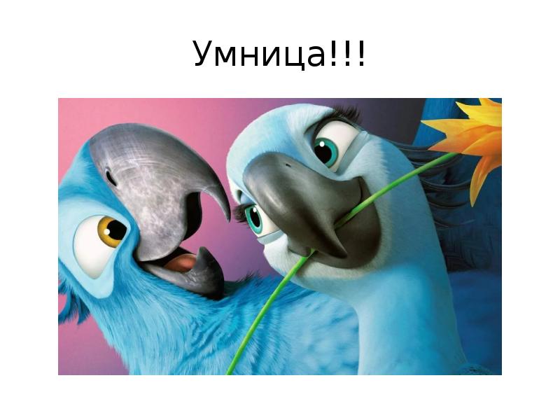 Эвелина