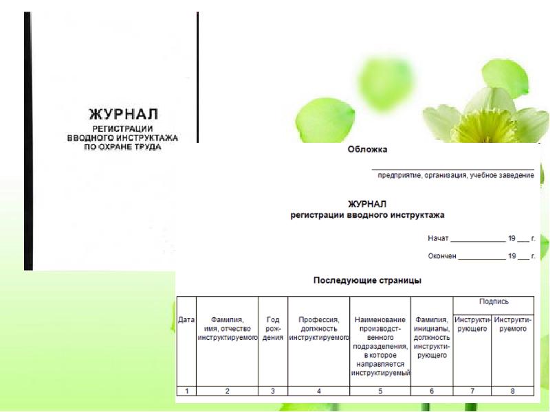 Инструктаж по охране труда и технике безопасности презентация