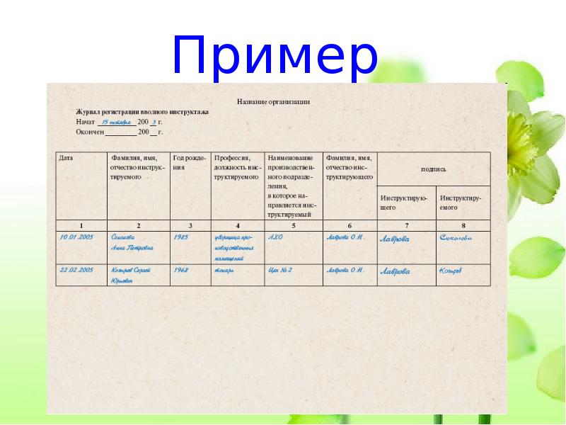 Виды инструктажей презентация