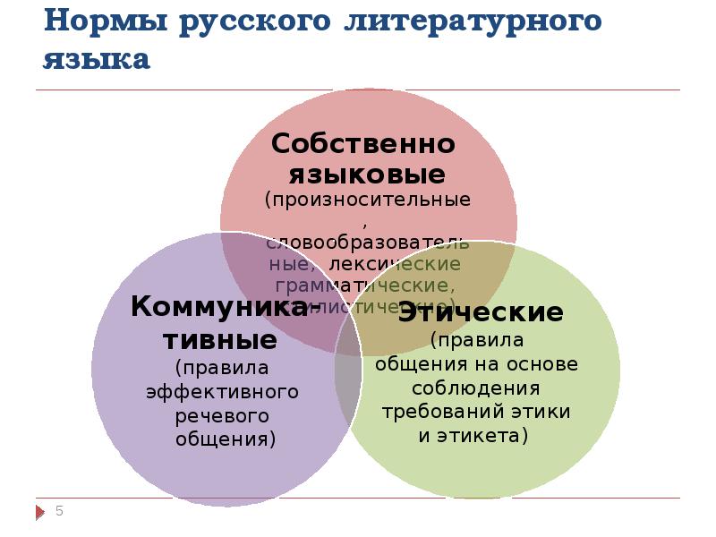 Основные лексические нормы современного русского литературного языка презентация