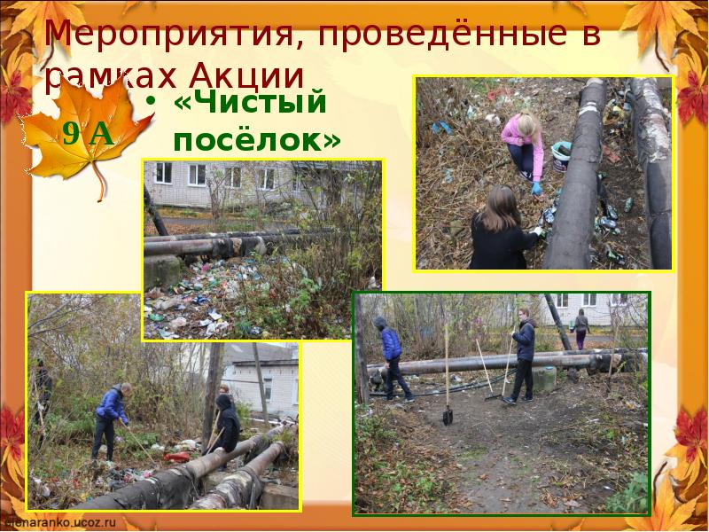 Осенняя неделя добра план мероприятий. Осенняя неделя добра план мероприятий