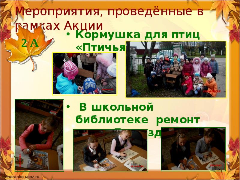 Осенняя неделя добра план мероприятий. Осенняя неделя добра план мероприятий