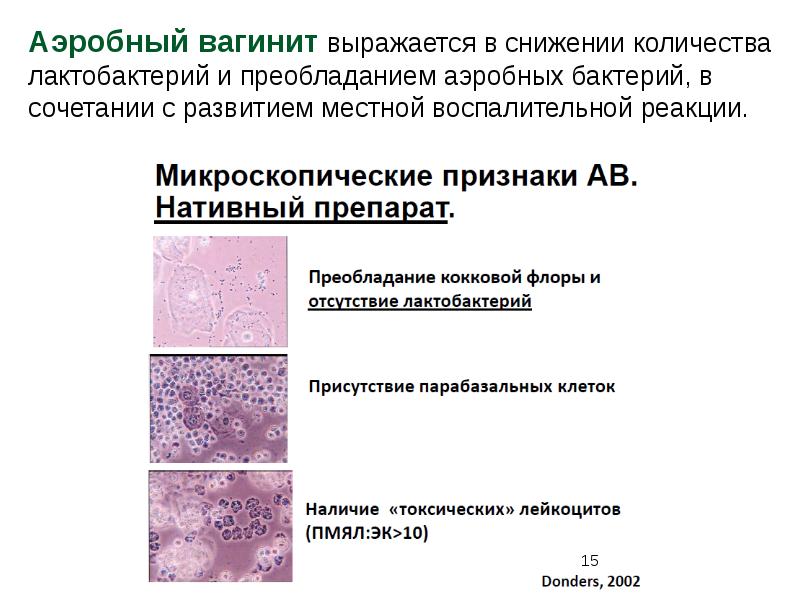 Питание и рост микроорганизмов презентация