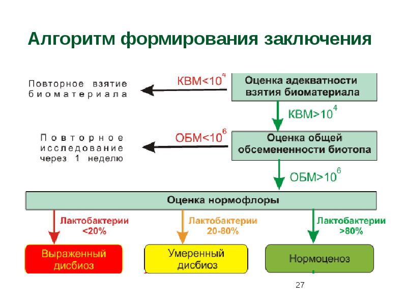 Алгоритмы заключений