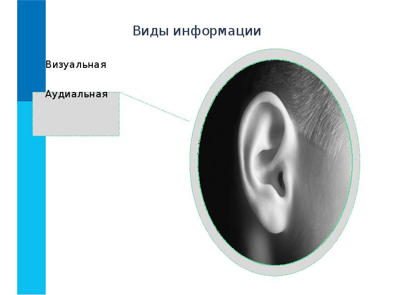 Визуальная информация. Визуальный вид информации. Виды информации аудиальная. Виды информации визуальная аудиальная. Визуальная аудиальная.