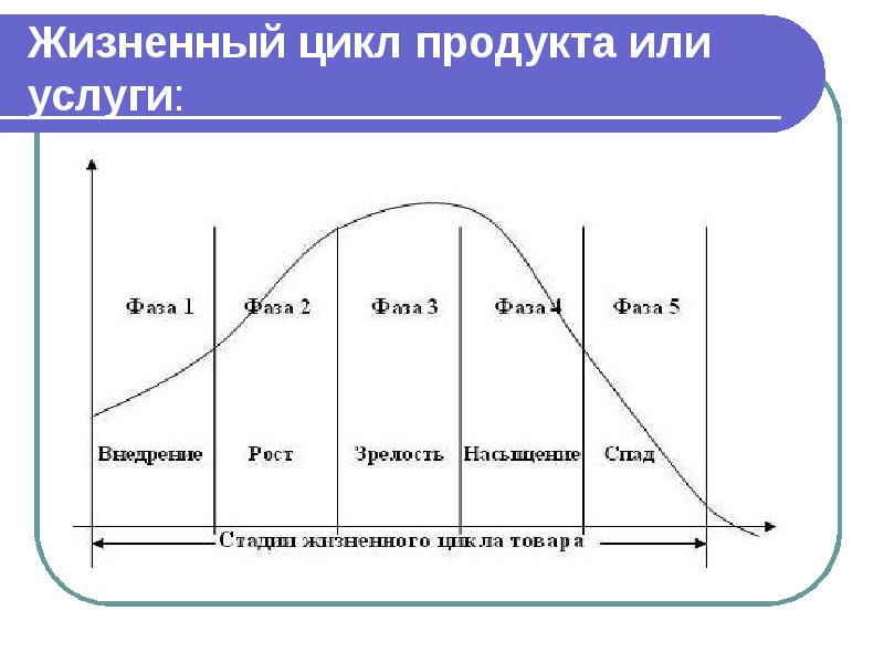 Жизненный цикл презентация