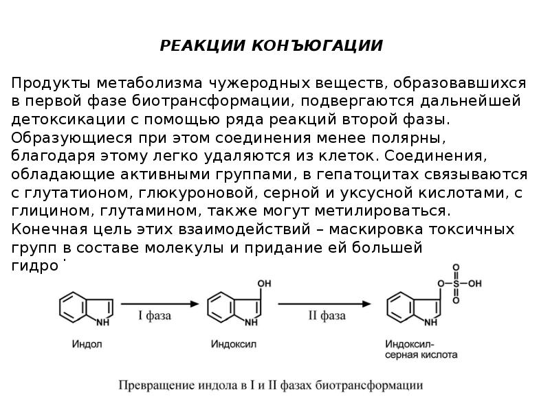 Включи реакцию. Реакции 1 фазы биотрансформации ксенобиотиков. Схема реакций конъюгации. Реакции 2 фазы метаболизма ксенобиотиков. Реакции конъюгации ксенобиотиков.