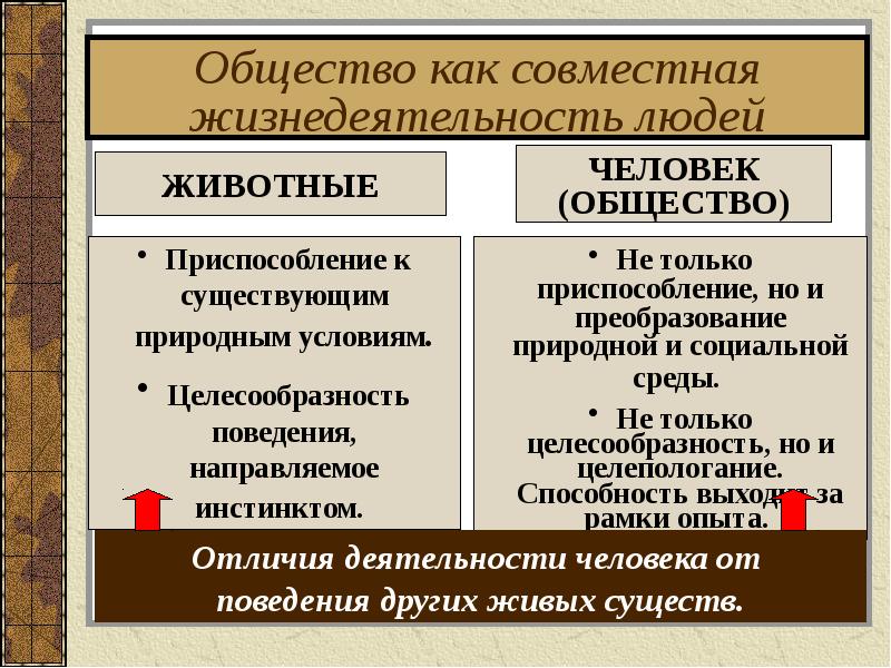 Общество как мир культуры презентация 10 класс обществознание