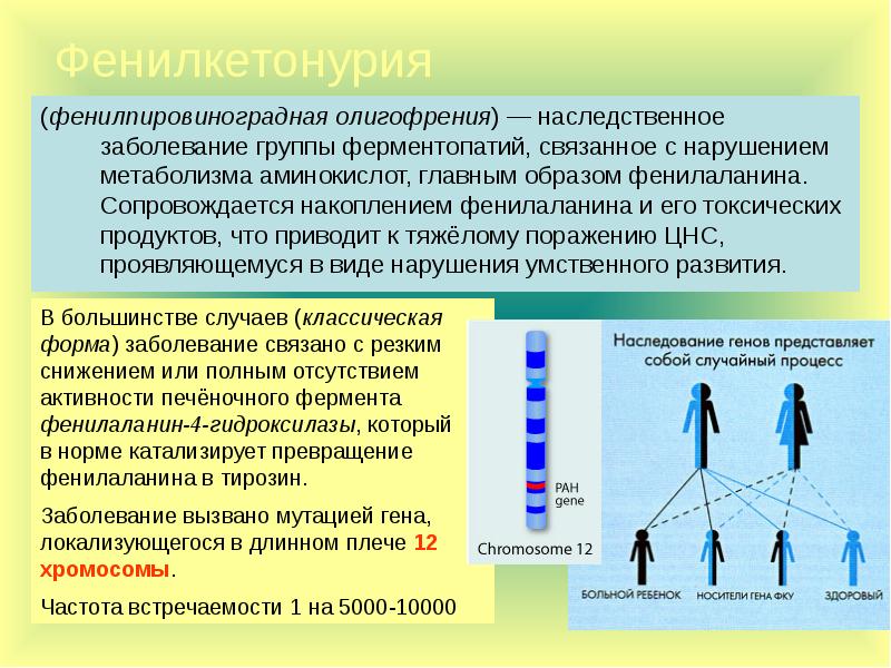 Презентация генные болезни по медицинской генетике - 96 фото