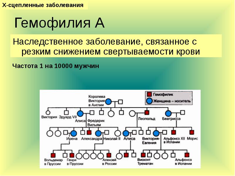 Презентация генные болезни по медицинской генетике - 96 фото