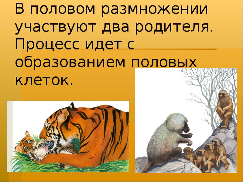 Счастливый ребенок. Родители и дети. Участвуют 2 родителя. Участвуют 2 родителя. Участвуют 2 родителя.