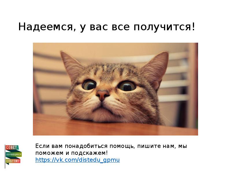 Надеемся, у вас все получится!