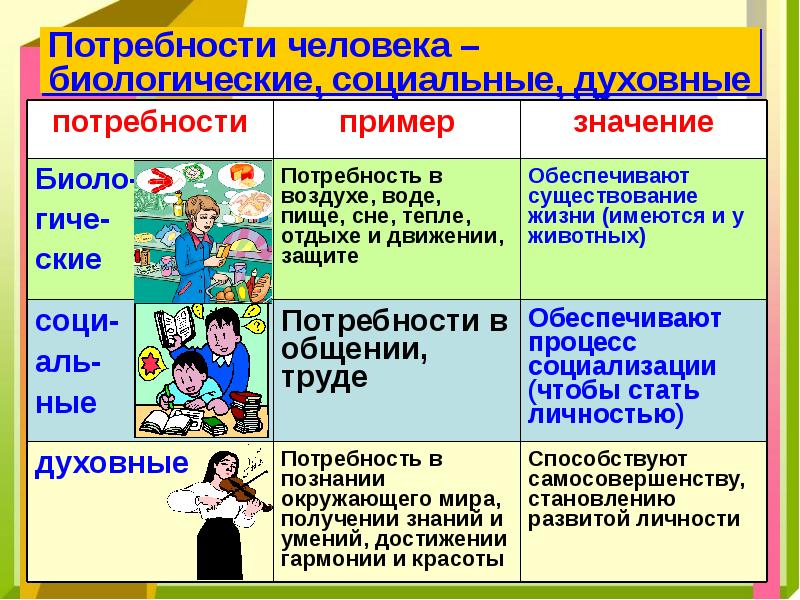 Виды ответов 6 класс презентация