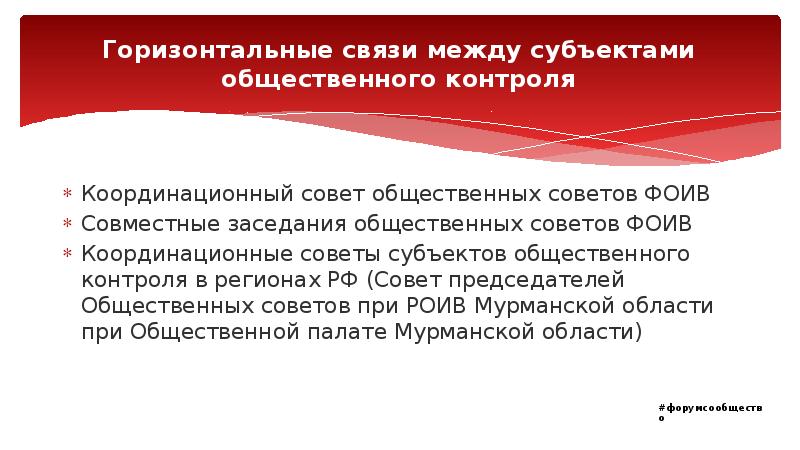 Горизонтальные связи между субъектами общественного контроля Координационный совет общественных советов ФОИВ